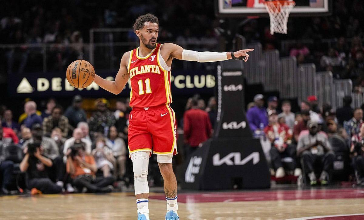 鹈鹕则以半 鹈鹕则以半