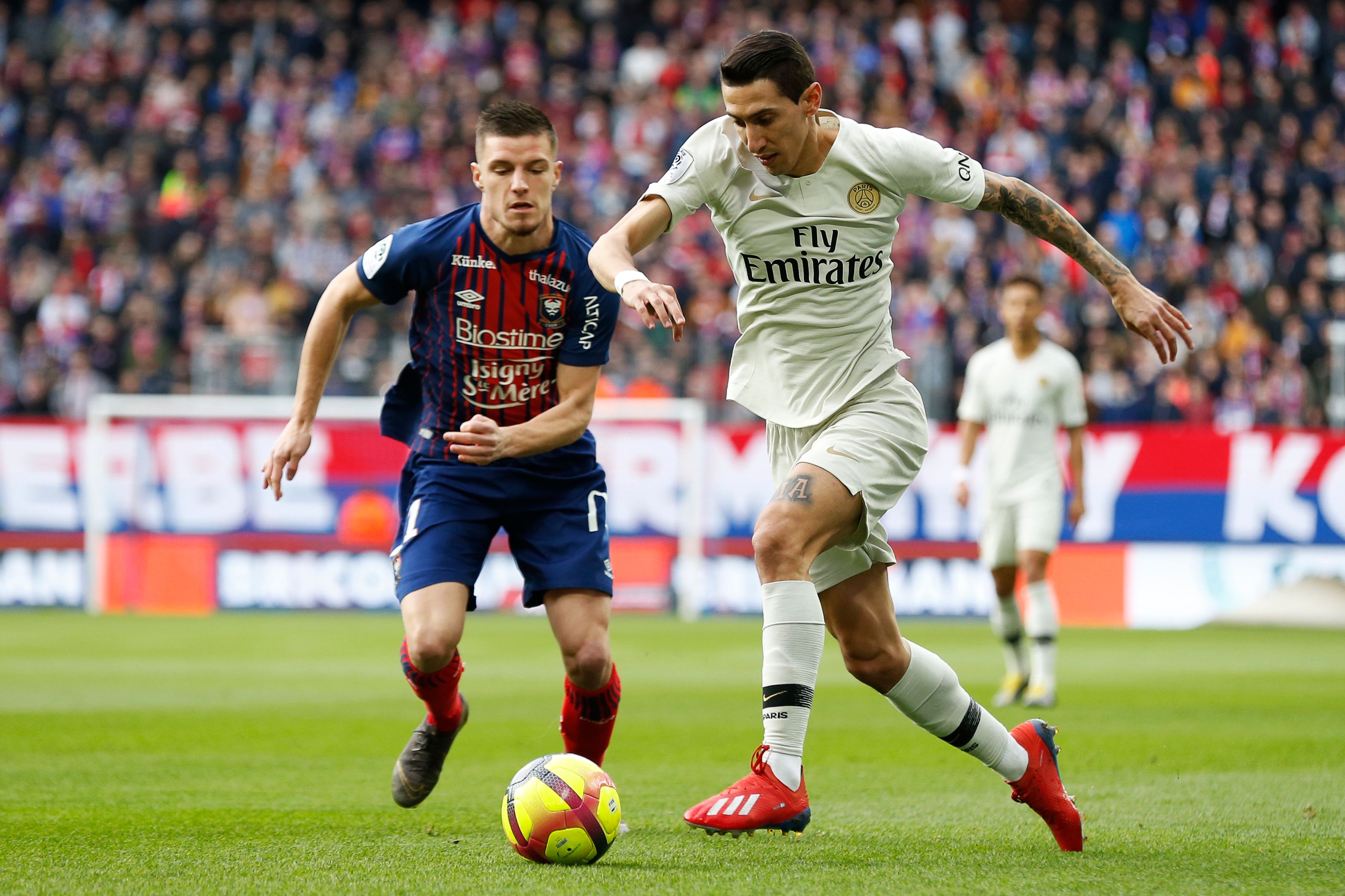 的创造力阀 的创造力阀